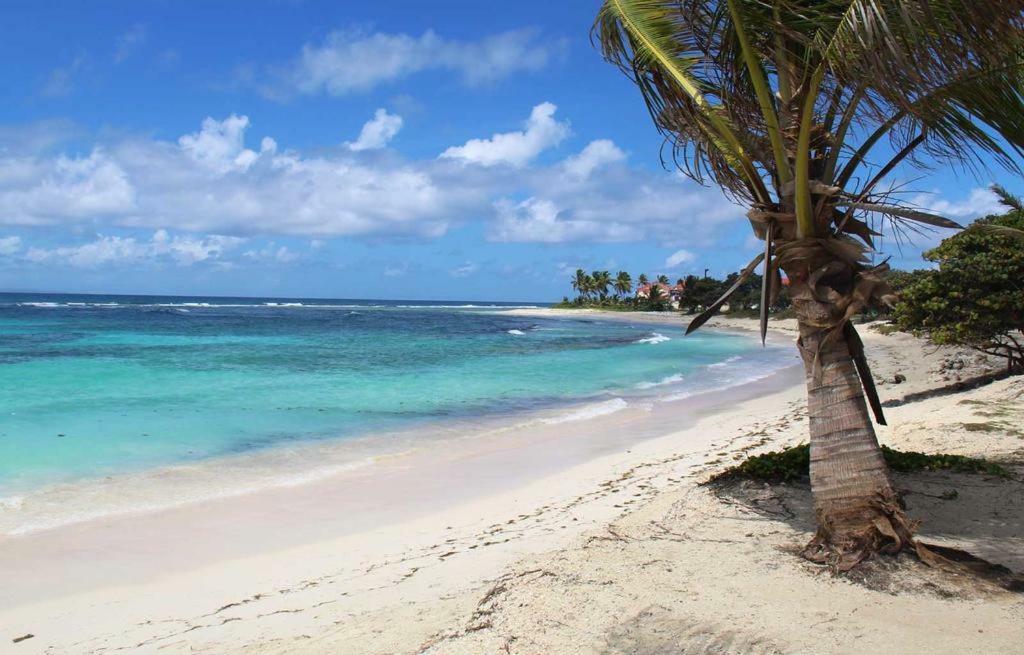 Ferienwohnung Les Marines Kazatibo Saint-Francois  Exterior foto